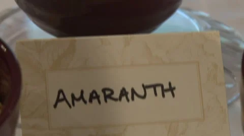 18 Stock Footage 919351