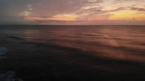 18 Palomino Stock Footage 135763993