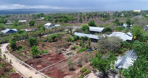 18 Second Aerial drone view flyover of farm Kupang Timor Stock Footage 81687701