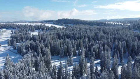 180  degree rotation round view with drone over pine forest in Jura Switzerland Stock Footage 168258401