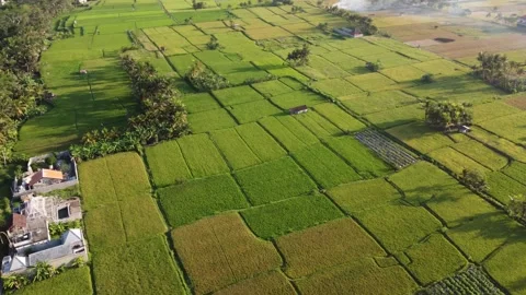 180 degree turn over Bali rice fields Stock Footage 257202548