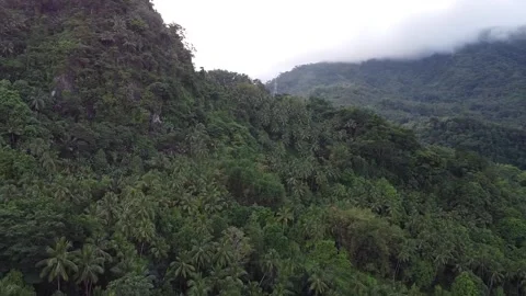 180 degrees rotation over the mountains  Stock Footage 185281074