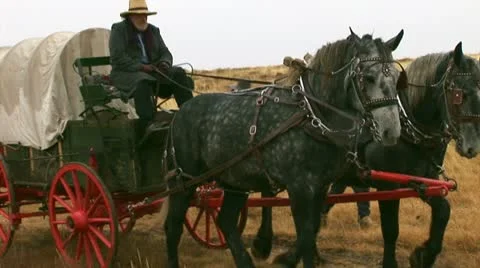 1800's migration crossing the plaines Stock Footage 11364798