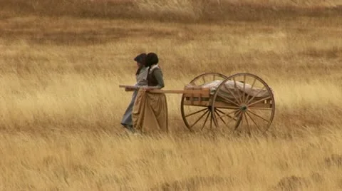 1800's migration crossing the plaines Stock Footage 11364932