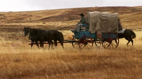 1800's migration crossing the plaines Stock Footage