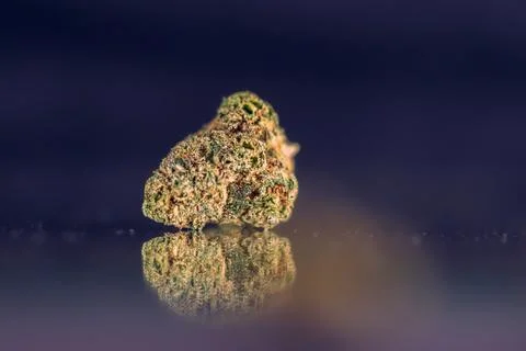 180A4206hh Stock Photos