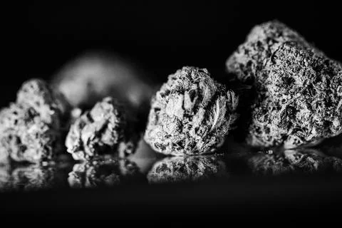 180A4227hh Stock Photos