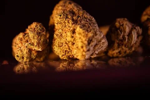 180A4239hh Stock-Fotos