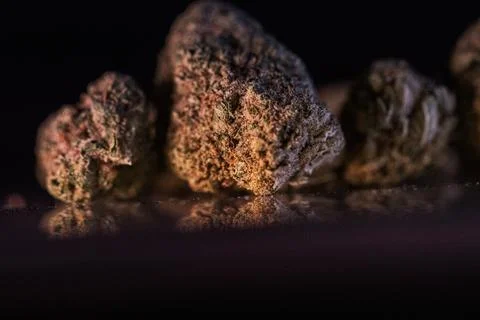 180A4241hh Stock Photos