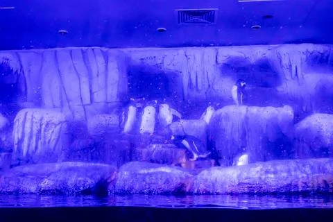 180A7516 Stock Photos