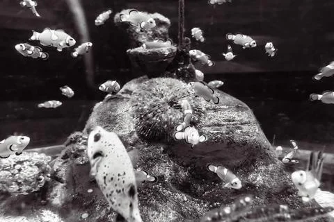 180A7529 Stock Photos