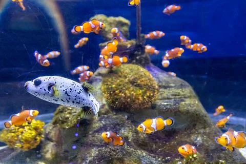 180A7535 Stock Photos