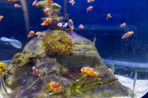 180A7564 Stock Photos