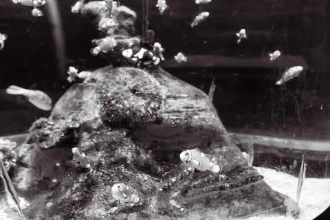 180A7566 Stock Photos