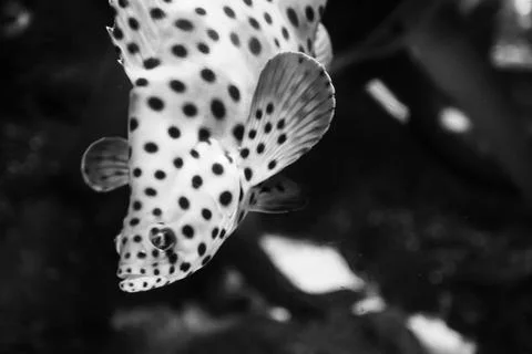 180A7571 Stock Photos