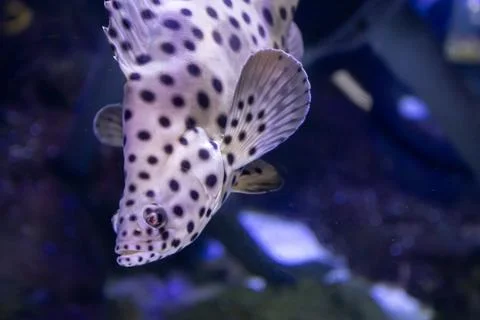 180A7572 Stock Photos