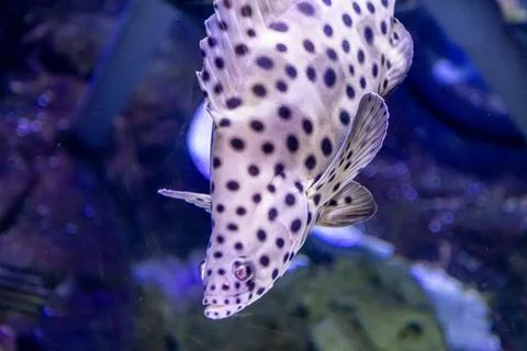 180A7576 Stock Photos