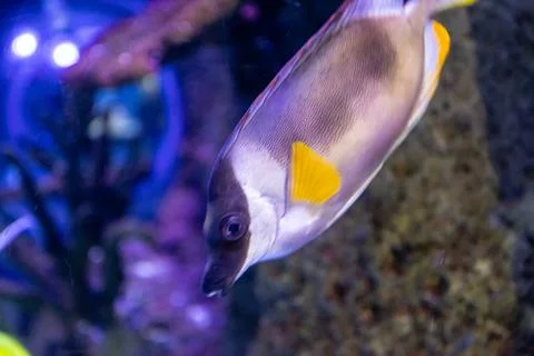 180A7585 Stock Photos