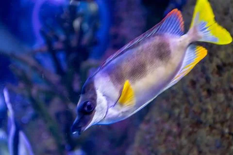 180A7587 Stock Photos