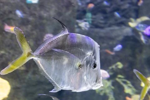 180A7611 Stock Photos