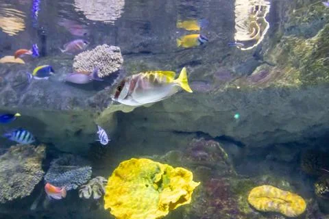 180A7622 Stock Photos