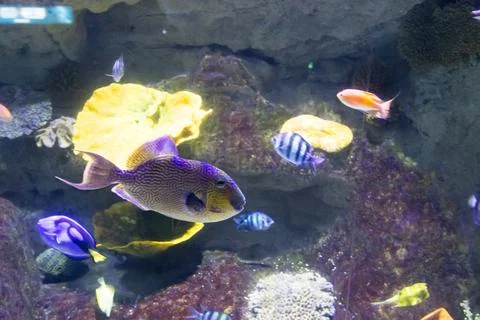 180A7626 Stock Photos