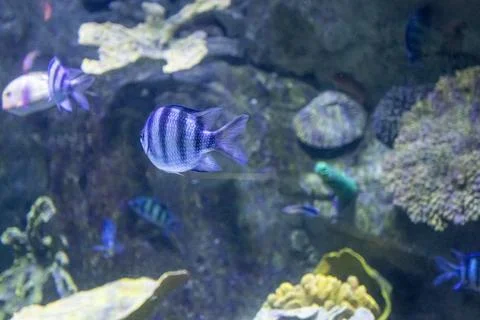 180A7640 Stock Photos