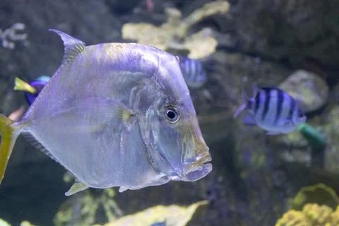 180A7644 Stock Photos