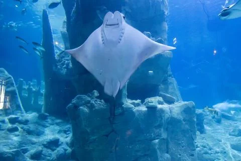 180A7893 Stock Photos