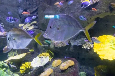 180A9489 Stock Photos