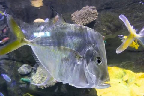 180A9548 Stock Photos