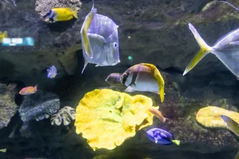 180A9554 Stock Photos