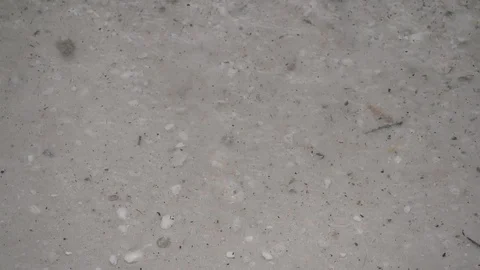 180fps Shells on Shoreline Stock Footage 109617293