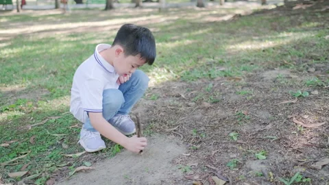 1852 Kid used a branch digging the ground in the garden Video stock 143471002