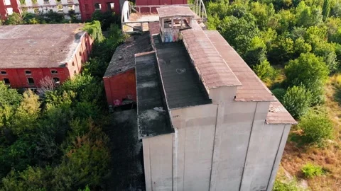 1853 Assan's steam mill in Bucharest. slowlly reclaimed by nature Stock Footage 159597256
