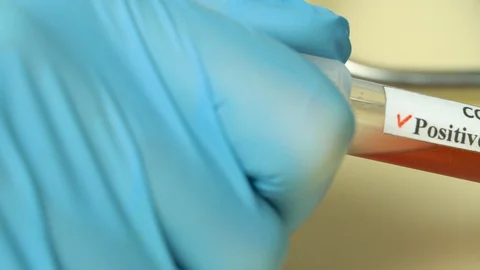 186Z C1725 82 Stock Footage 128961344