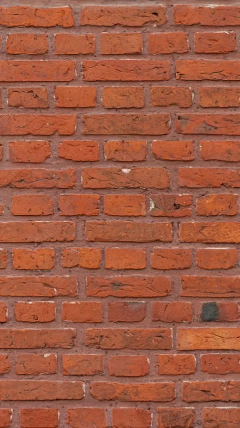 187_Rustic brick wall texture pattern.mp4 Stock Footage 347072624