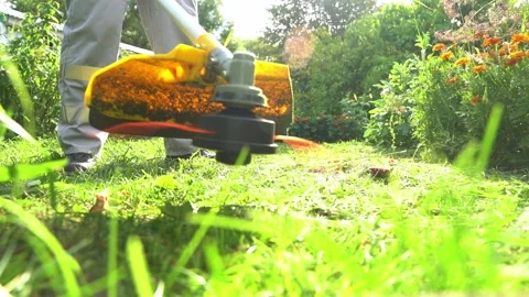 187Z T 37 Stock Footage 238941134