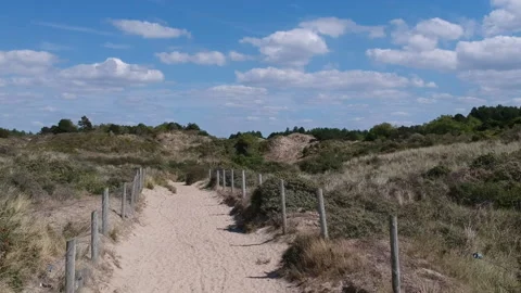 188 - dune path rise Stock Footage 130401299