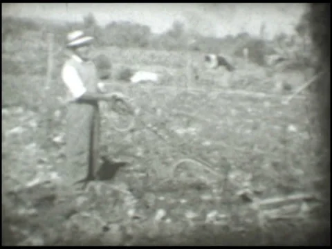 1887 Farmer 50s decade Stock Footage 35539595