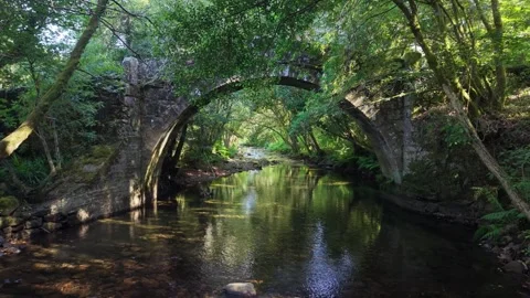 18th-century Stone Arch Bridge Crossing The Entíns River Stock Footage 344946184