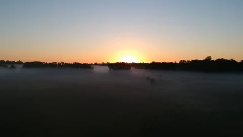 19 2 Rise to the sun over the summer mystical field in the fog Video stock 104049580