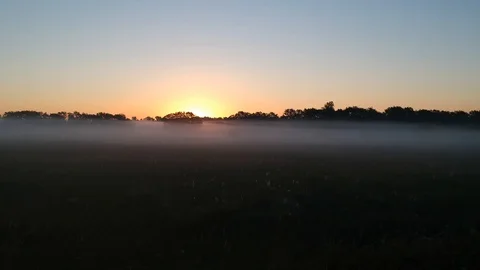 19-5 Flying to the sun over the summer mystical field in the fog Video stock 104049592