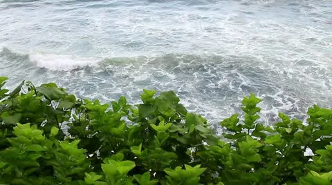 19 Stock Footage 10834289