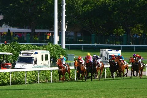 19 Oct 2008 jocking and horse racing sport at Shatin , Hong Kong Stock Photos
