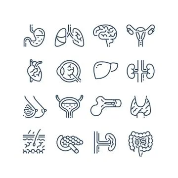 19 organ set Illustrazione stock