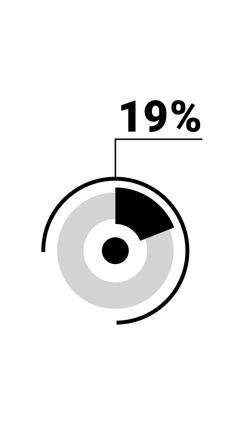 19 percent vertical donut chart. Circle round infographic, graphic animatio.. Stock Footage 285645187