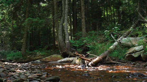 19 West Virginia - River side low 스톡 동영상 97650423