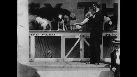 1903-Leisure Park / Coney Island / New York City / 1896 - 1903 Video stock 77911064