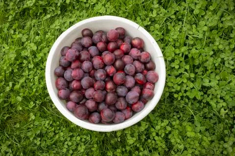 19082019327 Stock Photos